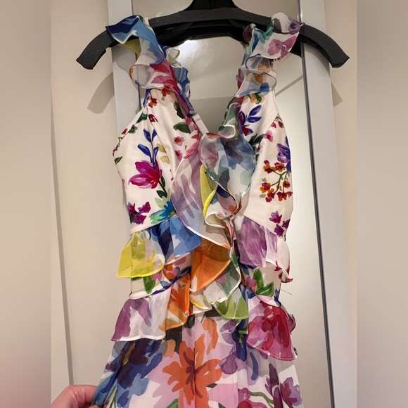 PatBo Bloom Ruffle Dress - Picture 9 of 9